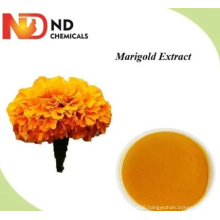 Feed Additives; Marigold Extract Plant Extract